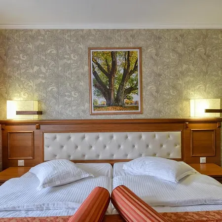 Hotel Edelweiss 3*