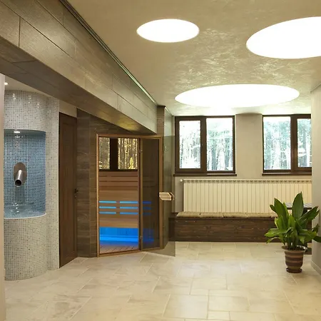 Edelweiss Hotel 3*